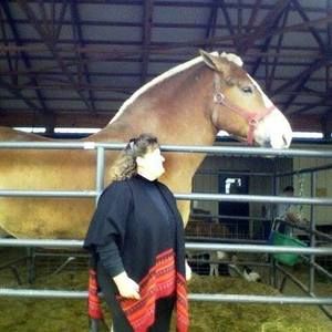 Meet your Posher, Laurie